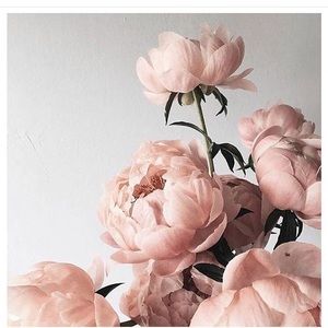 Meet your Posher, Alanna